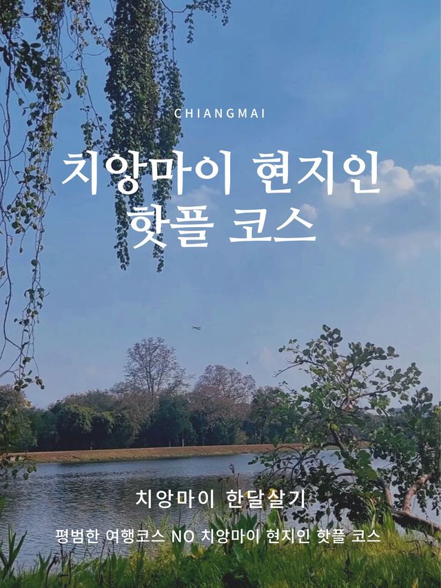 평범한 곳 NO 관광객들보다 현지인들에게 인기있는 치앙마이 스페셜 스팟