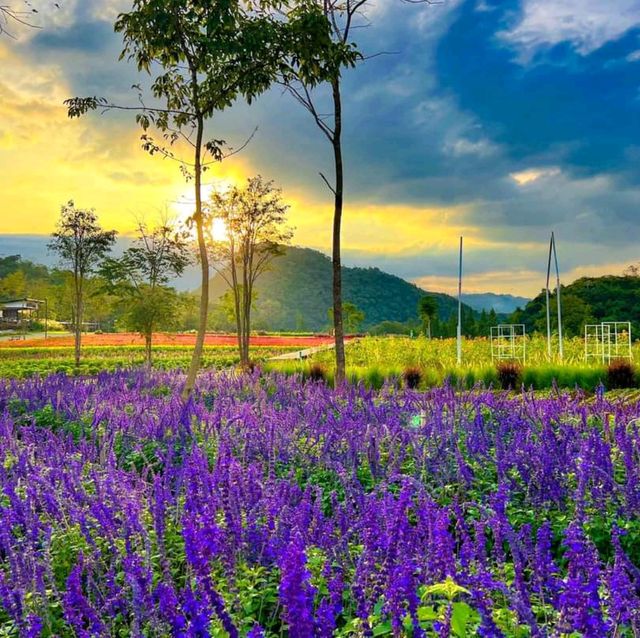 Flowers Village Khaoyai