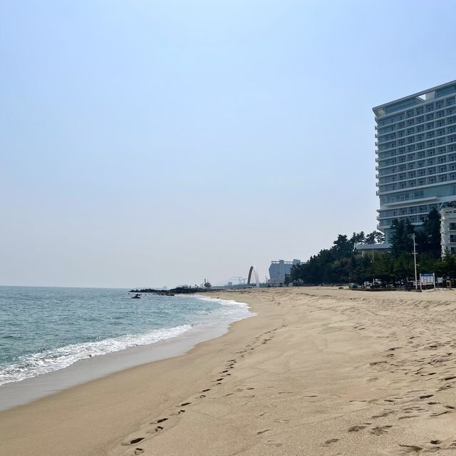 서퍼들이 좋아하는 파도가 몰려온다! 강릉해수욕장🏖️