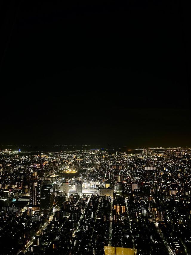 "도쿄 스카이트리"에서 감상하는 도쿄 야경✨