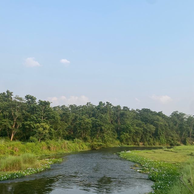 Chitwan National Park