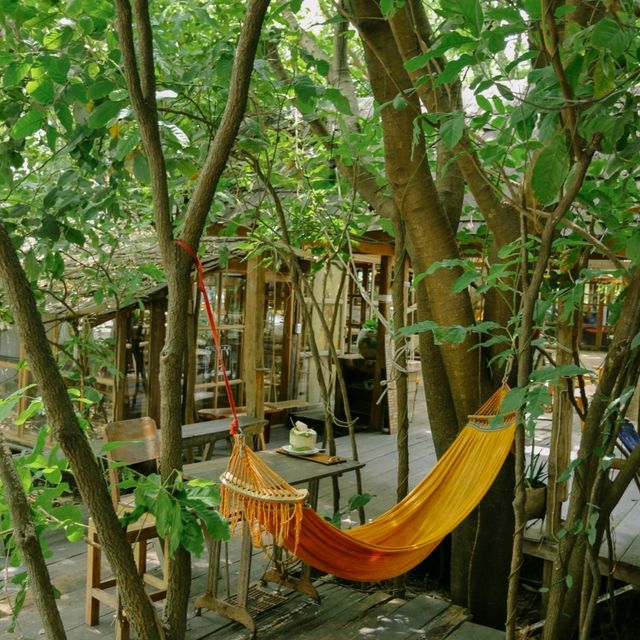 จิบกาแฟ นอนเปลในสวนป่า Skipper Garden สาขา 1