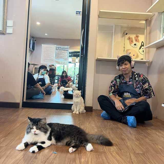 กอดน้องหมา เล่นน้องแมว กินของอร่อยแถวทวีวัฒนา