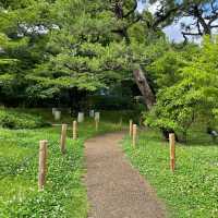 【親子景點】京都市動物園