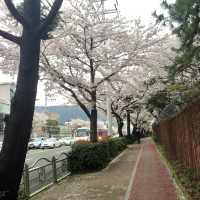 Gyeonghwa Train Station in Jinhae