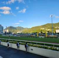 香港必黎景點-沙田馬場一日體驗游