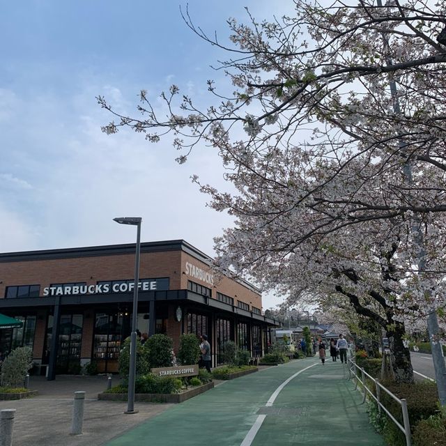 【静岡】蓮華寺池公園