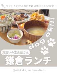 【鎌倉】わんこと行ける絶品定食🌴