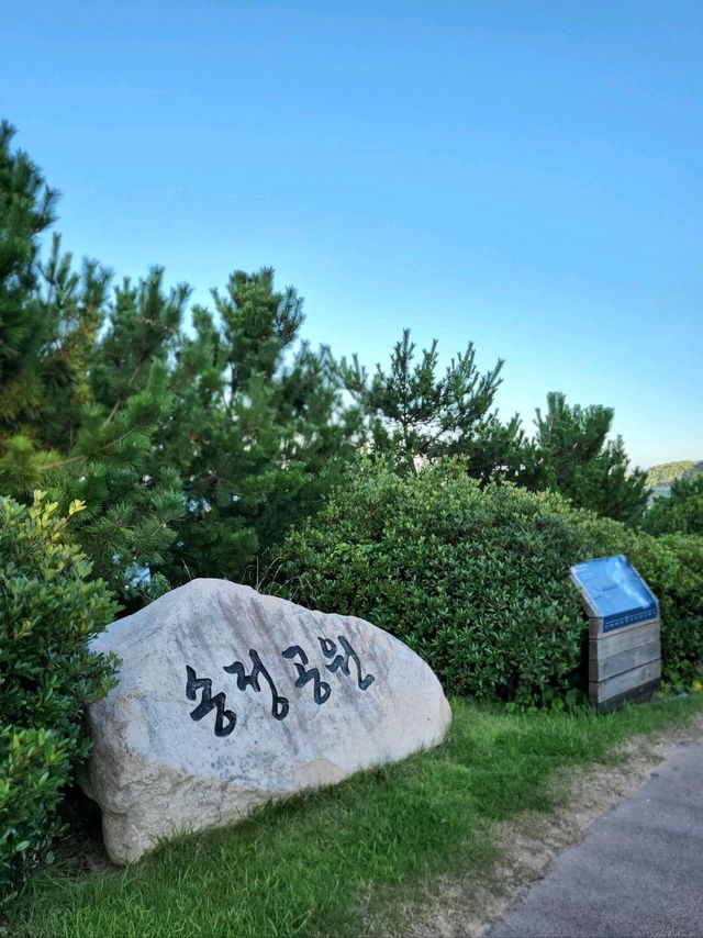 소나무와 바다가 아름답게 조화로운 울산 송정공원🌲