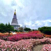 ดอยอินทนนท์ @เชียงใหม่ ยอดเขาสูงที่สุดในเมืองไทย