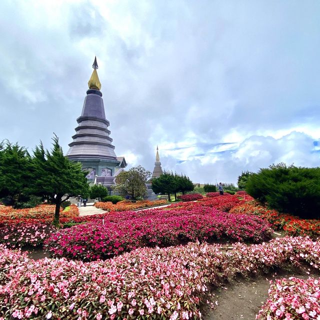 ดอยอินทนนท์ @เชียงใหม่ ยอดเขาสูงที่สุดในเมืองไทย