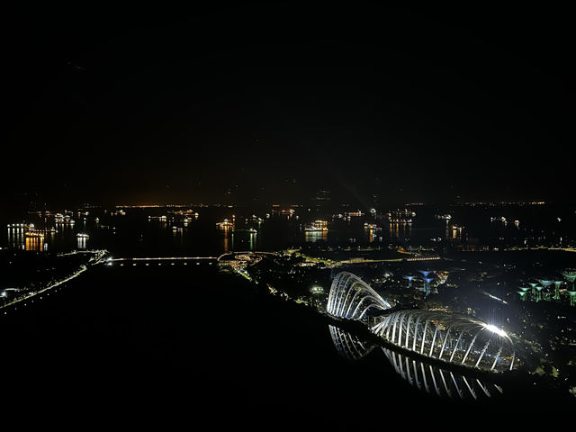 ชมวิวระฟ้ากับ Singapore Flyer 