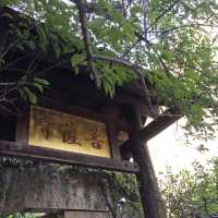 台中 大里 菩薩寺 修行在生活之中
