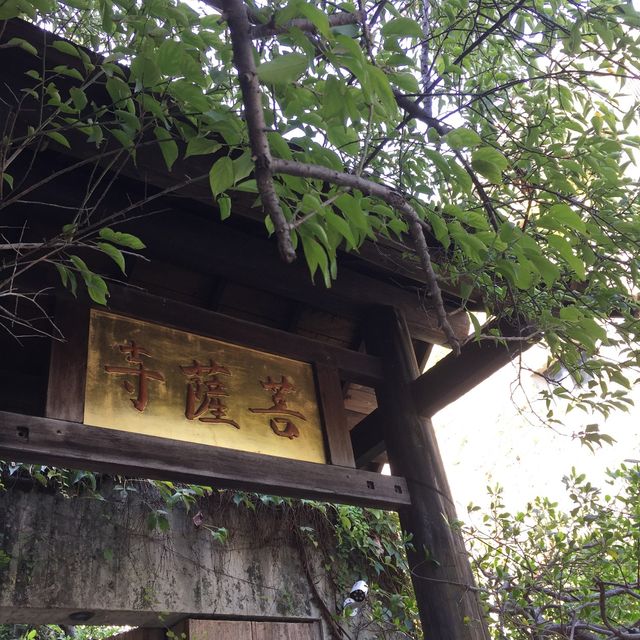 台中 大里 菩薩寺 修行在生活之中