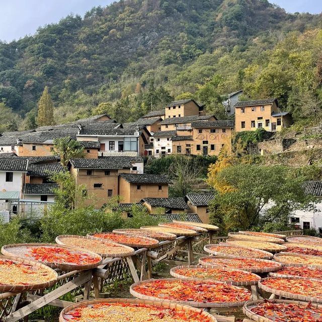 🌿🏞️ 崇振樓生態旅遊度假村～與大自然共享奇妙🌳🛶💫