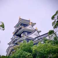 Experience Okayama Castle in a day