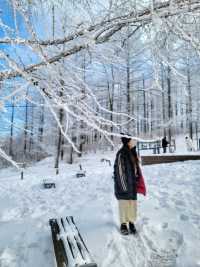 강원도 겨울여행은 여기! 정선 만항재❄️