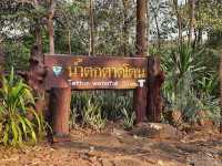 น้ำตกตาดโตน ชัยภูมิ
