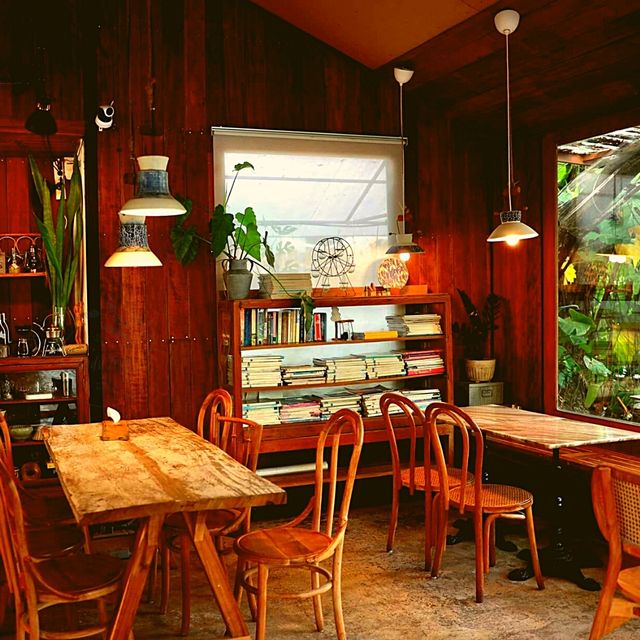 🏞️ กาแฟใต้ต้นไม้