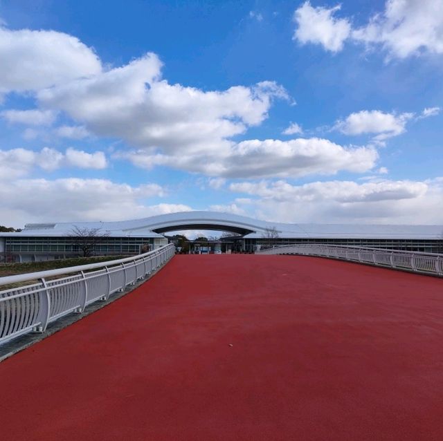 遺跡めぐりの旅