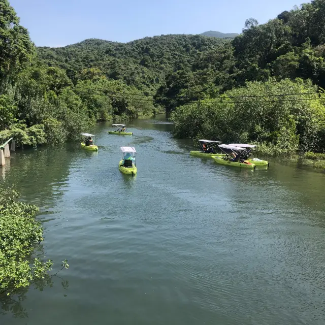 西貢紅樹林美景