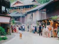 หมู่บ้านแม่กำปอง จ.เชียงใหม่