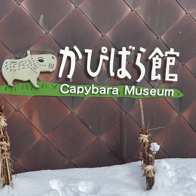 旭山動物園❤️北海道必去景點