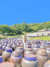 1,800여개의 장독대가 있는, 연천 세라비🤎