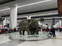 Delhi International Airport