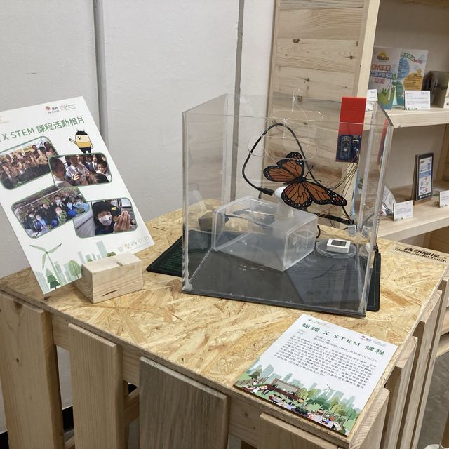 《🌳「綠得開心計劃」20周年Happy Green Fair 綠得開心市集》 