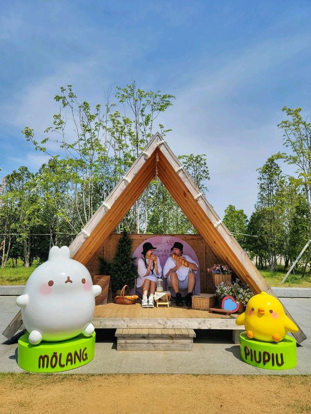 라한사진관에 부대시설이 재밌는 찐힐링 호캉스🩷