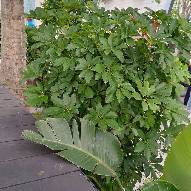 超級受歡迎！任何時間，都有客！