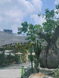 《台中》台中打卡新地標 仙人掌造景城市綠洲-PARK2草悟廣場