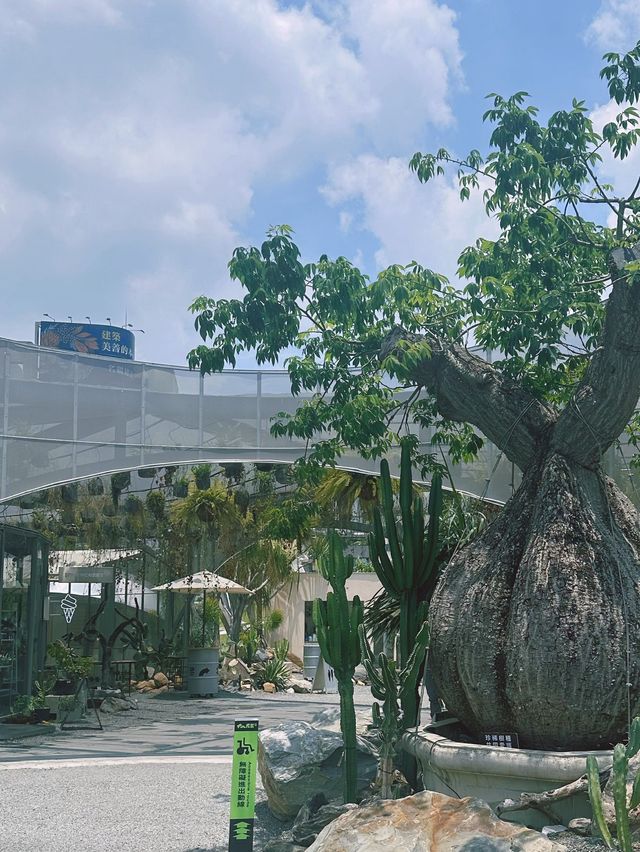 《台中》台中打卡新地標 仙人掌造景城市綠洲-PARK2草悟廣場
