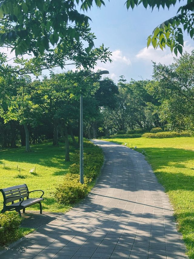 《台北》逃離繁忙都市生活 佔地超大的城市綠洲-大安森林公園