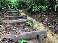 เดินป่าสำรวจอุทยานธรรมชาติ บนภูเขา🌳🏕️