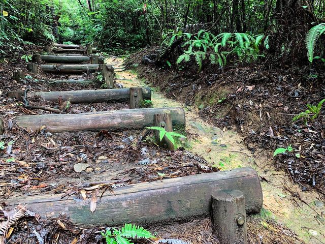 เดินป่าสำรวจอุทยานธรรมชาติ บนภูเขา🌳🏕️