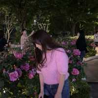 백만송이의 장미를 볼 수 있는 곳 “서울장미길”🥀