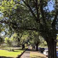 Beautiful Park in Melbourne 