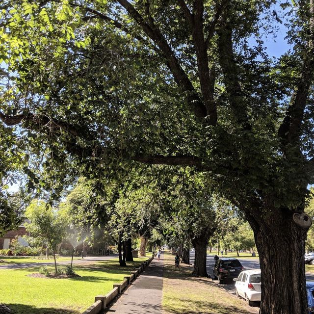 Beautiful Park in Melbourne 
