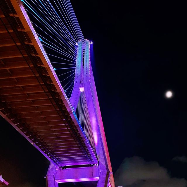 🌉 부산의 아름다운 바다 경관을 책임지는 부산항 대교! 