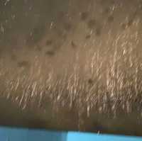altTitle