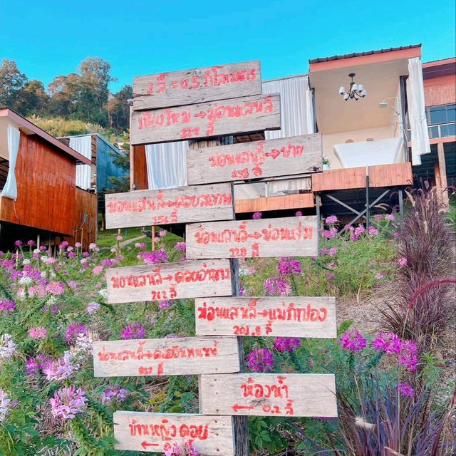 โฮมสเตย์เชียงใหม่ วิวสุดปัง ท่ามกลางสวนดอกไม้ เริ่มต้นคนละ 900 รวมอาหารเช้า🌷🌸🌹🌺