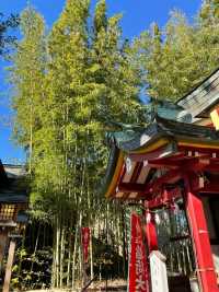【東京都/鷺宮八幡神社】竹林が美しい神社