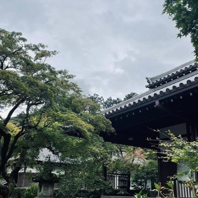 常寂光寺!!尋找內心寧靜的放鬆🌸🏯 