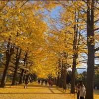 昭和公園にあるお洒落なカフェ