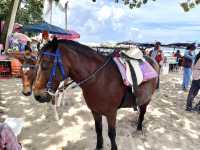 เยือนหัวหิน ถิ่นมีหอย Hua-Hin