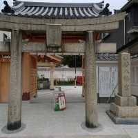 福岡観光2023 「若八幡宮」