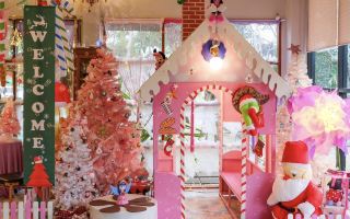 ใจดีฟาร์ม สุราษฎร์ธานี 