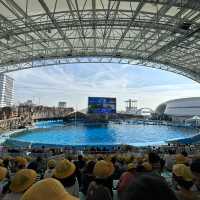 Fun filled time at Nagoya Port Aquarium 